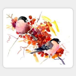 BUllfinch and the fall Sticker